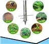 good quality sedling for vegetables